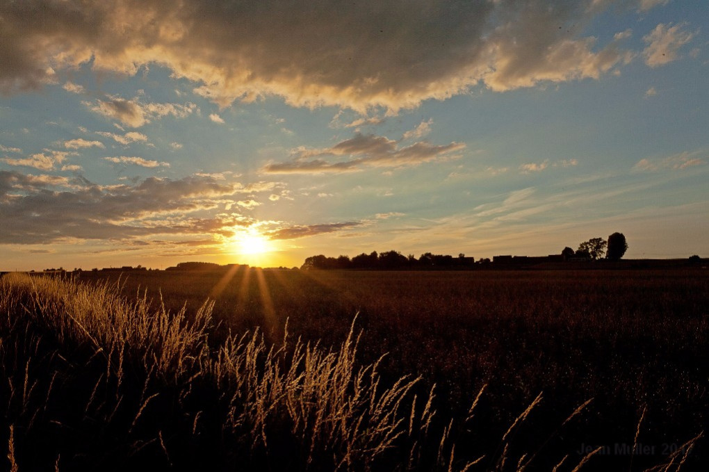 Sunset in the countryside 1